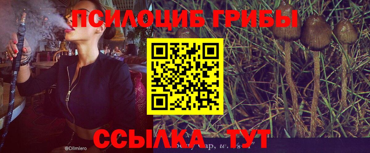 Галлюциногенные грибы ЛСД  Вход с VPN  Лесной 