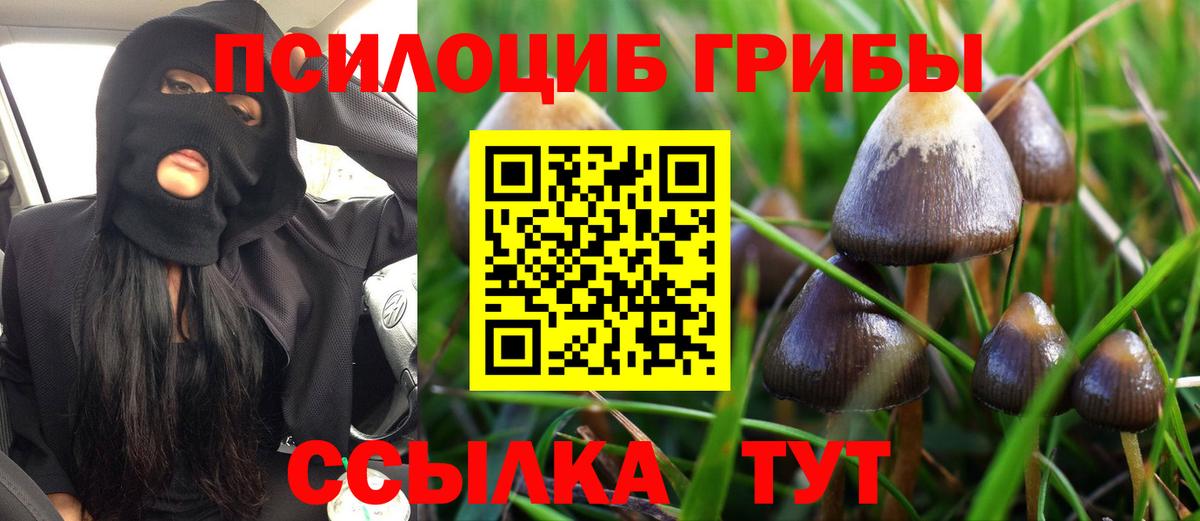 NBOMe Лесной